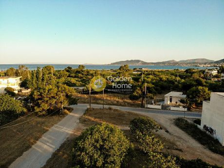 Οικόπεδο 500τ.μ. για πώληση-Αρτέμιδα (λούτσα) » Υπαπαντή