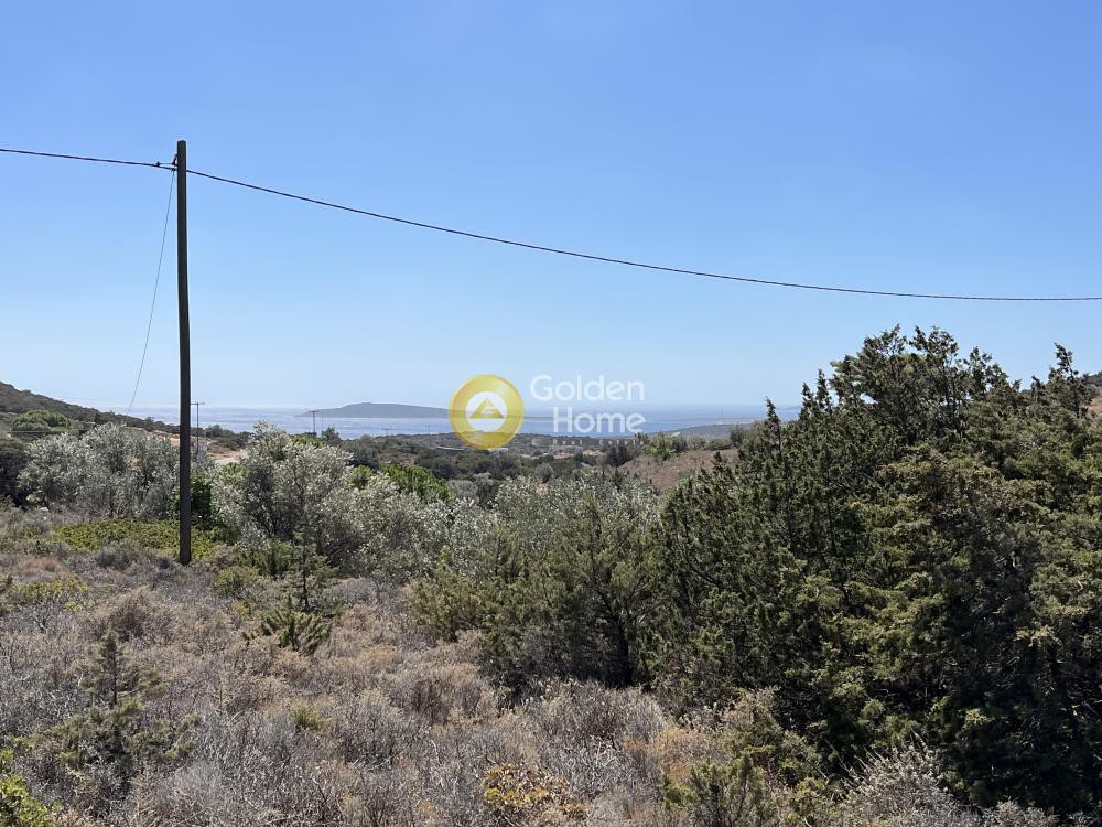 Οικόπεδο 5.885 τ.μ. προς πώληση, Καμάρι Πάρου