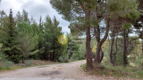 Αγροτεμάχια 250τ.μ. για πώληση-Νέα πεντέλη