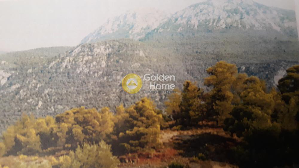 Οικόπεδο 349 τ.μ. προς πώληση, Πίσια