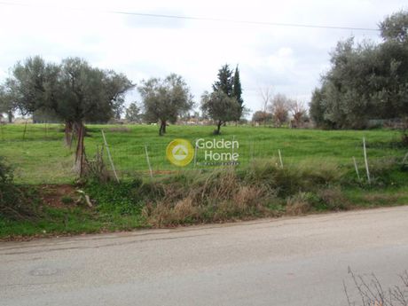 Οικόπεδο 7.446τ.μ. για πώληση-Λάρισσος » Καγκάδι