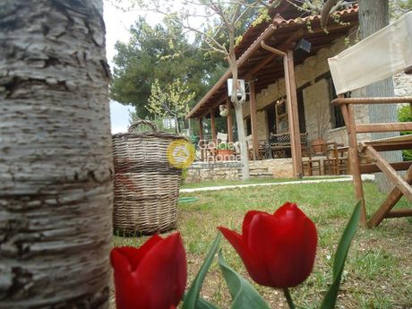 Κατάστημα 160τ.μ. για ενοικίαση-Βόρεια κυνουρία » Άγιος ιωάννης