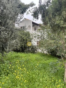 Μονοκατοικία 168τ.μ. για πώληση-Νέα μάκρη » Κέντρο