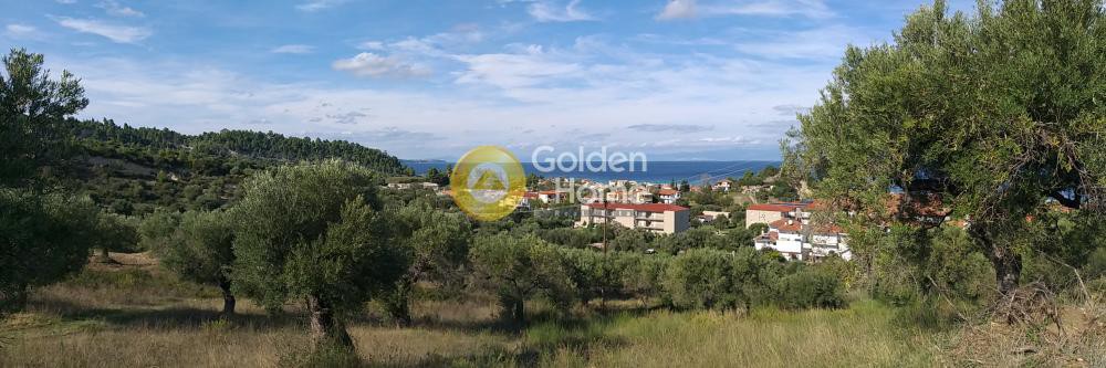 Οικόπεδο 4.260 τ.μ. προς πώληση, Πολύχρονο