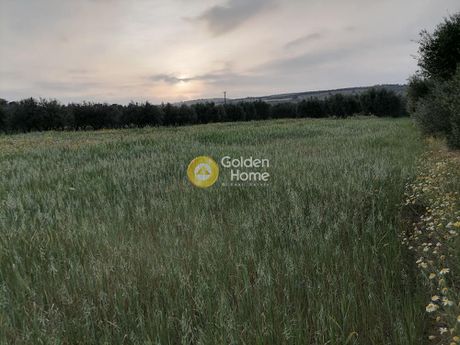 Οικόπεδο 4.061τ.μ. για πώληση-Τυμπάκι » Σίβας