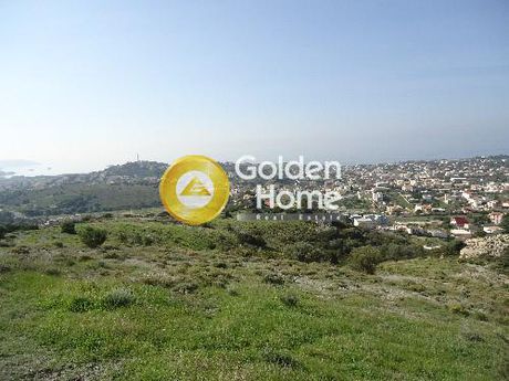 Αγροτεμάχια 20.000τ.μ. για πώληση-Καλύβια θορικού » Λαγονήσι