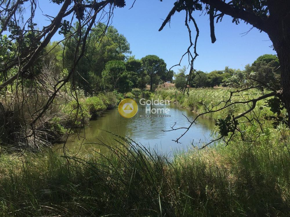 Ξενοδοχείο 626 τ.μ. προς πώληση, Καλόγρια Λαρίσσου