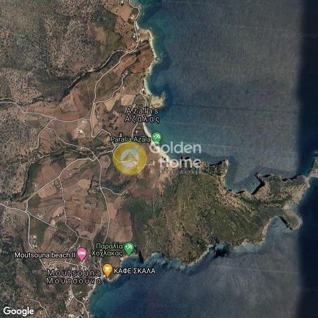 Οικόπεδο 12.185 τ.μ. προς πώληση, Αζάλας