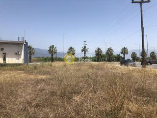 Οικόπεδο 1.765 τ.μ. για πώληση