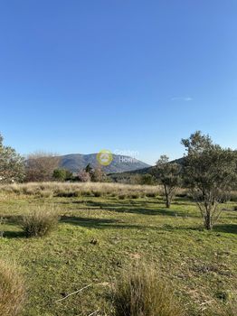 Parcel 5.747sqm for sale-Kalivia Thorikou » Κέντρο