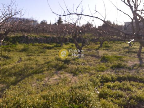 Land plot 2.700sqm for sale-Aegina » Kipseli