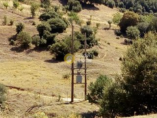 Αγροτεμάχια 5.508 τ.μ. για πώληση