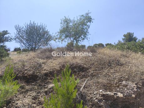 Αγροτεμάχια 1.132τ.μ. για πώληση-Κορωπί » Άγιος δημήτριος