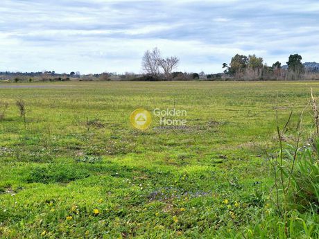 Οικόπεδο 4.265τ.μ. για πώληση-Πύργος » Κάτω καβούρι