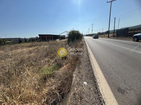 Οικόπεδο 1.300τ.μ. για πώληση-Αταλάντη » Τραγάνα