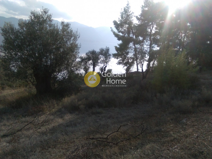 Αγροτεμάχια 1.800 τ.μ. προς πώληση, Άγιος Γεώργιος Λιχάδας