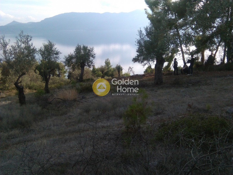 Αγροτεμάχια 1.800 τ.μ. προς πώληση, Άγιος Γεώργιος Λιχάδας
