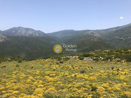 Αγροτεμάχια 9.500τ.μ. για πώληση-Καλαμάτα » Θεοτόκος