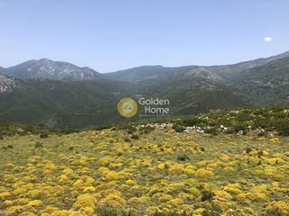 Αγροτεμάχια 9.500 τ.μ. για πώληση