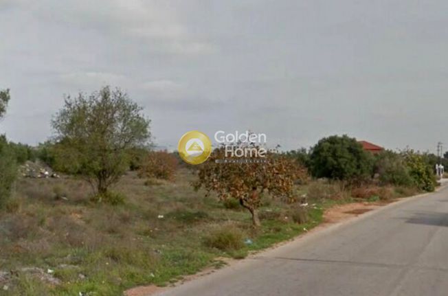 Land plot 25.000 sqm for sale, Athens - East, Koropi