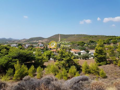 Οικόπεδο 2.000 τ.μ. για πώληση