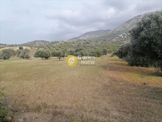 Αγροτεμάχια 4.000 τ.μ. προς πώληση, Λίσταρος-thumb-3