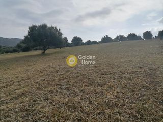 Αγροτεμάχια 4.000 τ.μ. προς πώληση, Λίσταρος-thumb-7