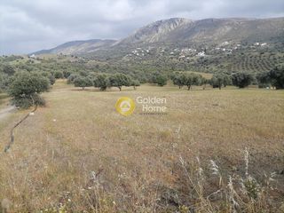 Αγροτεμάχια 4.000 τ.μ. προς πώληση, Λίσταρος-thumb-1
