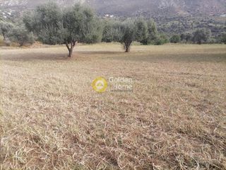 Αγροτεμάχια 4.000 τ.μ. προς πώληση, Λίσταρος-thumb-10