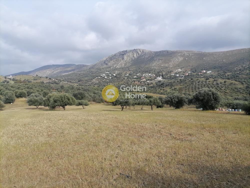 Αγροτεμάχια 4.000 τ.μ. προς πώληση, Λίσταρος