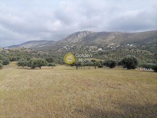 Αγροτεμάχια 4.000 τ.μ. προς πώληση, Λίσταρος-thumb-2