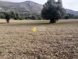 Αγροτεμάχια 4.000 τ.μ. προς πώληση, Λίσταρος-thumb-11