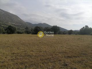 Αγροτεμάχια 4.000 τ.μ. προς πώληση, Λίσταρος-thumb-6