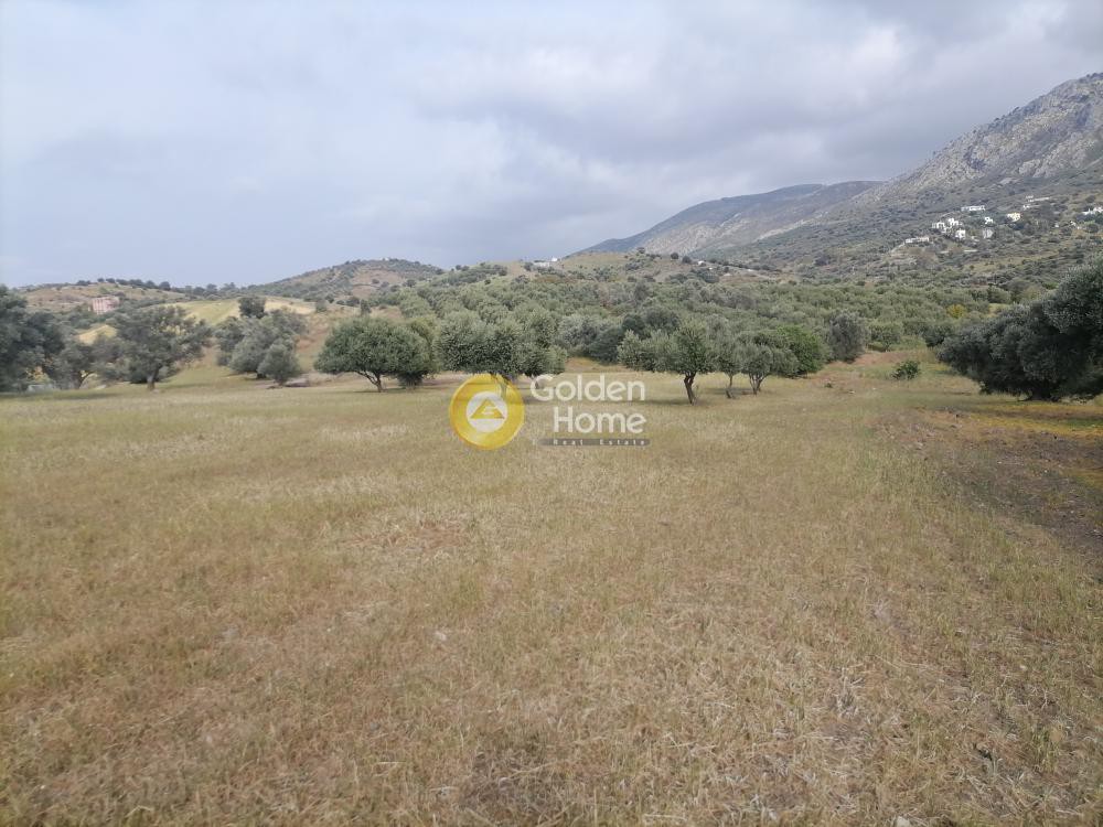 Αγροτεμάχια 4.000 τ.μ. προς πώληση, Λίσταρος