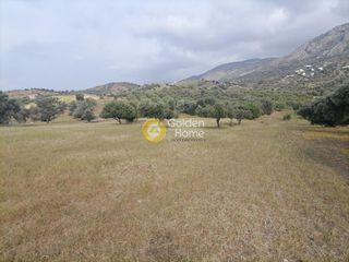Αγροτεμάχια 4.000 τ.μ. προς πώληση, Λίσταρος-thumb-4