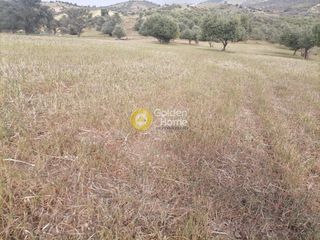 Αγροτεμάχια 4.000 τ.μ. προς πώληση, Λίσταρος-thumb-8