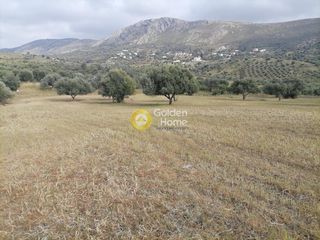 Αγροτεμάχια 4.000 τ.μ. προς πώληση, Λίσταρος-thumb-13