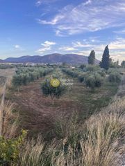 Land plot 6.500 sqm for sale