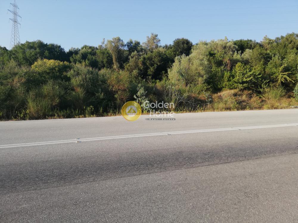 Αγροτεμάχια 1.500 τ.μ. προς πώληση, Βρύση Συβότων
