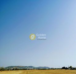 Αγροτεμάχια 5.000 τ.μ. για πώληση