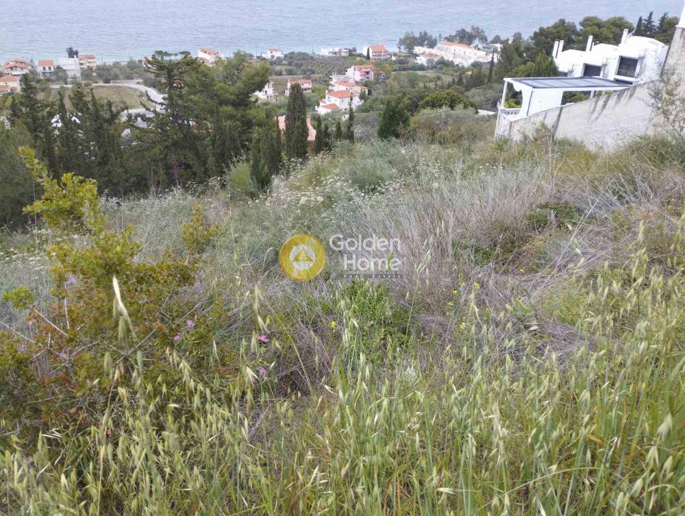 Οικόπεδο 800 τ.μ. προς πώληση, Μελίσσι Ξυλοκάστρου