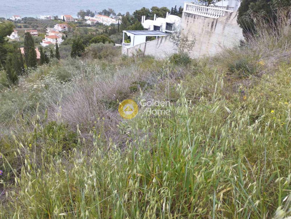 Οικόπεδο 800 τ.μ. προς πώληση, Μελίσσι Ξυλοκάστρου