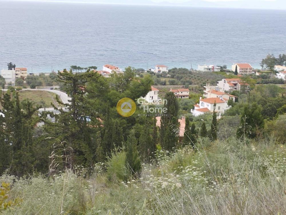 Οικόπεδο 800 τ.μ. προς πώληση, Μελίσσι Ξυλοκάστρου