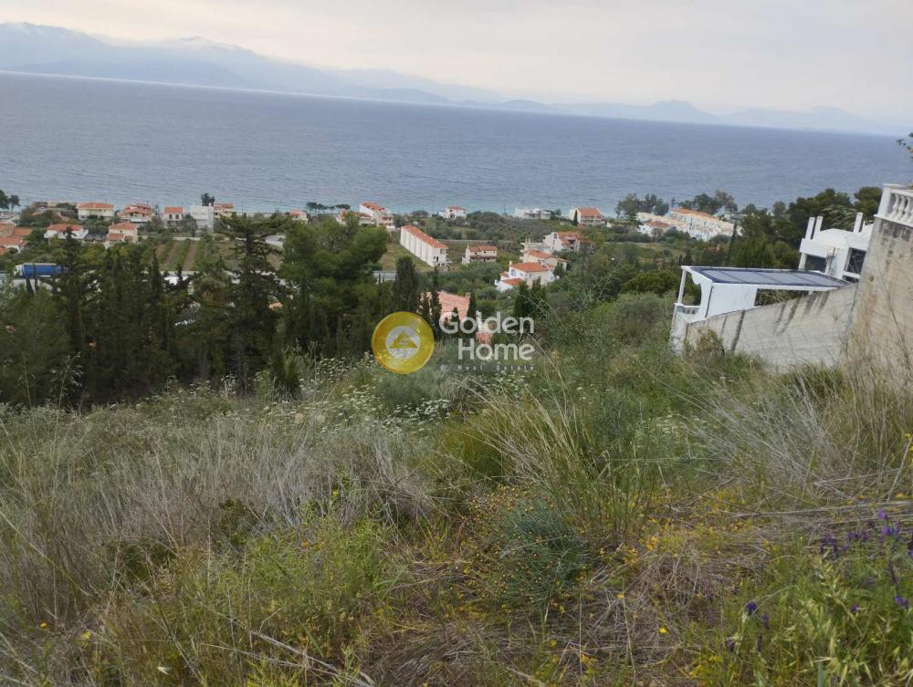 Οικόπεδο 800 τ.μ. προς πώληση, Μελίσσι Ξυλοκάστρου