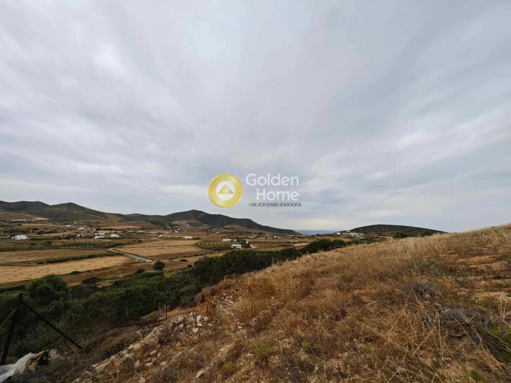 Αγροτεμάχια 17.801 τ.μ. προς πώληση, Κάμπος Αντιπάρου