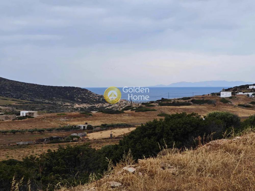 Αγροτεμάχια 17.801 τ.μ. προς πώληση, Κάμπος Αντιπάρου