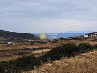 Αγροτεμάχια 17.801 τ.μ. για πώληση