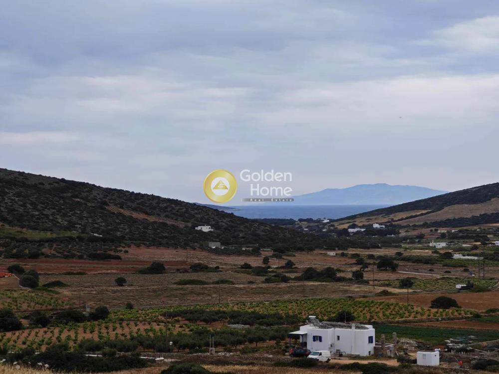 Αγροτεμάχια 17.801 τ.μ. προς πώληση, Κάμπος Αντιπάρου