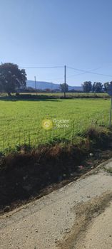 Οικόπεδο 1.800τ.μ. για πώληση-Φαλαισία » Πετρίνα