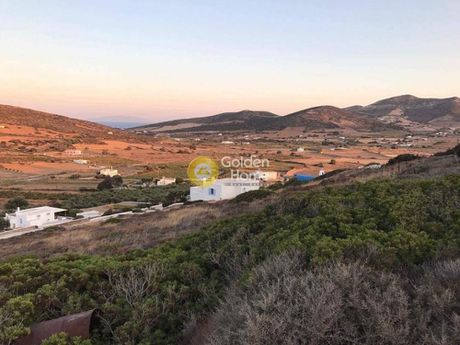 Αγροτεμάχια 6.500τ.μ. για πώληση-Αντίπαρος » Κάμπος